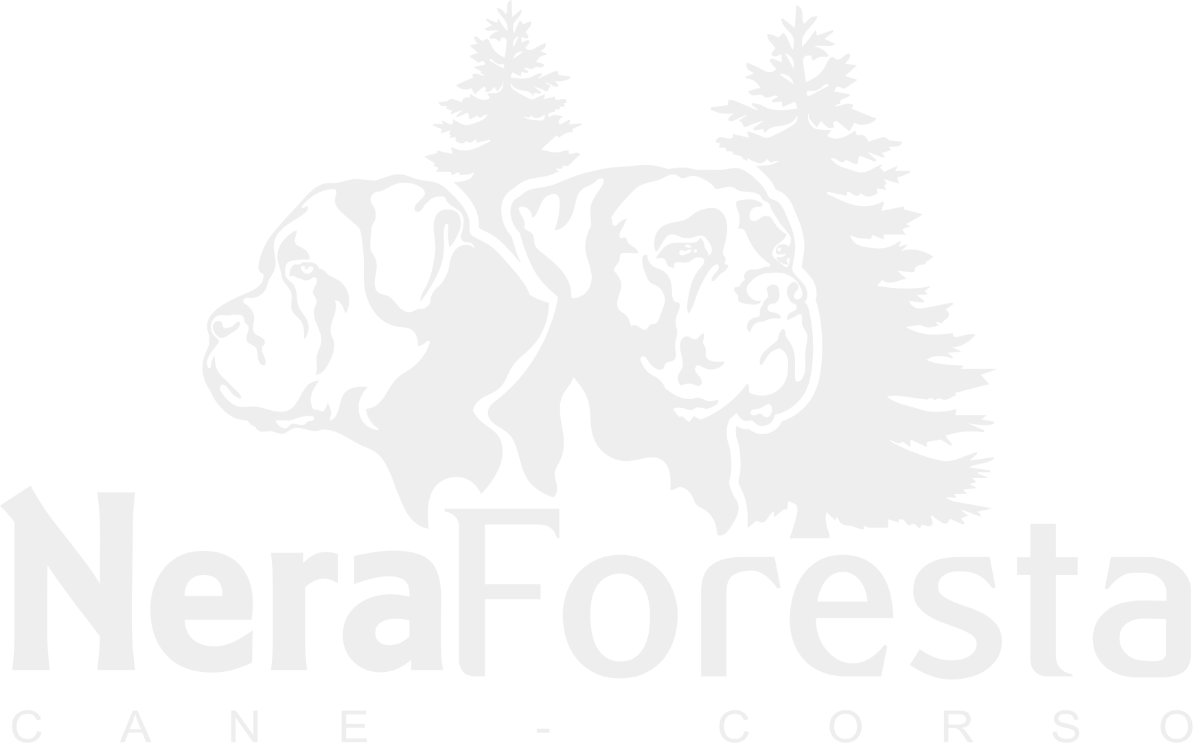 Nera Foresta